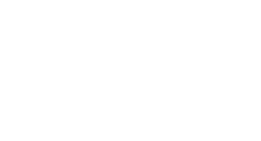 Max Pires Treinamentos